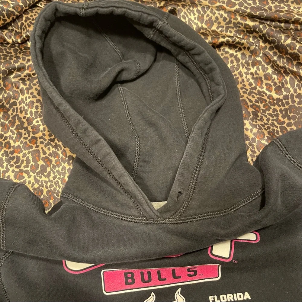 USF Hoodie Russel Athletic - Picture 10 of 14